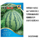 Wei Meng Meidu Red Crisp Hand Southern Zaojia 8424 Watermelon Seeds Seedless Seeds Extra Large Watermelon Seeds Early Ripening Kirin Melon Original 160 capsules