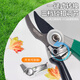 BERRYLION garden shears, household branch shears, pruning shears, branch shears, fruit branch grafting shears, flower tree shears, potted plant pruning shears, gardening shears