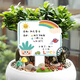 Kindergarten plant label insert card plant care card DIY plant care card card school plant corner logo 05 blank card 9MMPVC covered with crystal film 10x16cm
