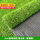 Liangxiang Simulated Lawn Carpet Plastic Artificial Green Fake Turf Kindergarten Balcony Outdoor Padding Courtyard Engineering Fence 2.5mx1m Spring Grass 2cm Encrypted Style