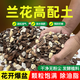 Flower Master special soil for orchids, phalaenopsis orchid special flower soil, nutritious soil orchid planting material, pine bark particles, breathable, new high orchid soil 5Jin Jin is equal to 0.5kg, 6-in-1 stone, 3 gifts for free