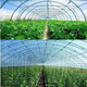 Greenhouse plastic film non-drip film agricultural greenhouse film PO film vegetable planting anti-fog high light transmittance anti-aging longevity film national standard thickness non-drip film 10 silk (0.10 mm) official authentic 10 meters wide 12 meters long