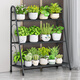 Wojia flower rack stepped balcony decorative flower rack floor-standing simple succulent flower pot rack layer rack storage flower rack
