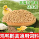 Chicken feed with high nutritional value and calcium supplement for chickens, chickens, ducks, geese, fish feed, farm special feed 20Jin Jin is equal to 0.5kg, medium and large particles of large chicken feed in the package