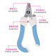Pet Nail Clipper Set File Stainless Steel Cat and Dog Nail Clipper Cleaning and Beauty Supplies Blue Set-Large Factory Direct Sales