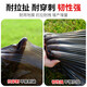 Agricultural thickened black mulch film for planting, anti-aging, greenhouse plastic film, thermal insulation, moisturizing, anti-weed orchard weeding film 11Jin Jin equal to 0.5kg black 0.6m wide 1S thick 800m long