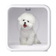 PEISIMA Intelligent Constant Temperature Pet Drying Box for Cats and Dogs Bathing and Drying Artifact British Short Ragdoll Bichon Blowing Water to Prevent Colds H9 Upgraded Model Quiet 6D Comfortable Drying + Negative Ions + Soothing Window