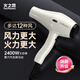 Fire Phoenix Hair Dryer 6600X Hair Salon Special High Power 2400W High Wind Low Noise Home Constant Temperature Hair Care Does Not Damage Hair Barber Shop Professional Hair Dryer Home Appliance 6601X Milan White Negative Ion 2m Cord Long (Four-speed Home Version)