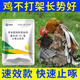 Veterinary anti-pecking and biting spirit, egg-pecking, feather-pecking and anal medicine, chicken, duck, goose, pica, cartilage, soft-shell egg feed additive, 10 bags