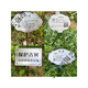 Stainless steel tree sign spring tension spring rope hanging chain stainless steel material retractable without damaging the tree sign sign customization stainless steel 0.8*100CM spring with one screw 0x0cm