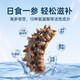 Daxiantian Dalian organic ready-to-eat sea cucumber 3Jin Jin is equal to 0.5kg / 16-21 solids exceeding 85% Liao sea cucumber nourishing gift box straight from the source