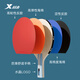 Xtep table tennis racket two-star professional pairing front and back glue for adult students novice entry-level horizontal and pen-hold set 2-star table tennis racket short-handle pen-hold single assembly with 3 balls