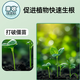 Fragrant and elegant, full of roots, salt-reducing rooting agent, acid adjustment, flower and green plant potted agricultural use, 2 bottles, affordable package, can be mixed with 1000 Jin Jin equal to 0.5 kg of water