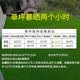 LZJGRASS balcony sun protection and heat insulation simulated lawn glass courtyard terrace sun room carpet turf lawn fake 2cm spring grass green bottom encryption 3.5*5 meters long