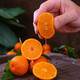 Jingdida Guangxi Tangtang Orange, net weight 4.5Jin Jin is equal to 0.5kg, single fruit 40mm+, straight from the fresh source