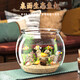 Round household transparent small fish tank desktop 4K ultra-clear desktop fish tank decoration and ornamental one-piece desktop ecological aquarium turtle tank goldfish tank round fish tank small size 12.5*13.5*13.5cm