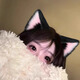 Christmas cat ear headdress, cute adult hairband, plush animal ear hairpin, cos music festival, cute female Halloween, black and white cat girl hairband