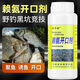 Lysine opening agent for fishing, wild fishing, black pit killing, crucian carp, carp, grass carp, silver carp and bighead carp fish attractant, fish food bait, highly concentrated Lysine opening agent 100ML