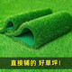 Simulated lawn encrypted and thickened artificial outdoor artificial plastic lawn kindergarten park step-resistant decorative turf green bottom 20mm thick spring grass 2*25 meters 50 square meters full roll