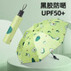 Popular Umbrella Fruit Series 8-Bone Folding Vinyl Sunscreen UV Shade Rain or Shine Umbrella Avocado Manual Manual Opening and Closing
