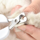 Paike is a cat nail clipper for cats. Special nail clipper for kittens. Novice nail clipper. Elbow pet supplies. Gentleman's elegant gray-straight style.