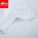 Zomes Camisa de manga corta Fit de hombre Slim Fit Anti-Wrinking Seda Summer White White White White Professional de manga corta Camisa de gran tamaño Men DX2655 Pure White 40 /XL (130-140Jin [Jin equivale a 0.5 kg])