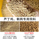 Zhengda Food 900s Rutin Chicken Special Feed for Egg Laying Chicks Brooding Open Young Ludin Chicken Chicks and Quail Egg Laying Food Zhengda 900 Egg Laying Rutin Chicken and Quail Feed 2Jin Jin is equal to 0.5 kg