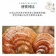 Zhizhitang Changbai Mountain Poudre de spores de ganoderma rouge biologique riche en sélénium fabriquée à Jilin Produit authentique officiel pour améliorer l'immunité des personnes d'âge moyen et âgées Pack familial de cinq bouteilles