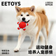 EETOYS Latex Starfish Red Dog Toy Fun Sound Relief Alone Boredom Companion Pet Supplies