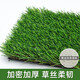 Simulated lawn pet toilet mat, fake turf balcony, artificial turf for dogs and cats to urinate and defecate, artificial carpet mat, 2cm spring grass encryption upgrade, wear-resistant model 1 square meter, high-efficiency peeing grass