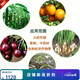 Hui Kefeng acidic soil conditioner repair conditioner soil loosening activator improves hardening and reduces acidity and calcium supplement soil conditioner 40Jin Jin is equal to 0.5kg *5 bags
