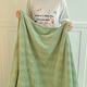 Red bean blanket thickened plus velvet nap blanket jacquard simple coral velvet Farai velvet blanket multifunctional cover blanket 1.5*2m green