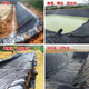 Fish pond anti-seepage membrane geomembrane black plastic leak-proof fish pond special membrane lotus root membrane thickened pool membrane waterproof cloth 0.3mm thick new material 2 meters wide 2 meters long
