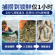 Yunchu Life Prawns Fresh Extra Large Sea-caught White Prawns Fresh Frozen Fresh Salted Frozen Prawns 3040 Net Weight 2.55Jin Jin is equal to 0.5kg
