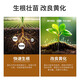 Jinzhengda Xinjiang export-grade mineral source potassium fulvic acid genuine rooting adjustment pH soil improvement flushing raw materials 1kg*1 bag