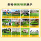 Fake lawn simulated artificial turf plastic green carpet rooftop balcony roof sun room villa courtyard outdoor 2.5 cm thickened extra dense spring grass 3 meters wide 8 meters long manual cutting