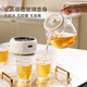 Colorful Dingdang (QICAIDINGDANG) health kettle all glass health kettle teapot health kettle glass thermostatic kettle all glass health kettle tea boiler thermostatic kettle all glass 0 glue Snow White - Standard 1.2L