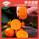 Jingdida Guangxi Tangtang Orange, net weight 4.5Jin Jin is equal to 0.5kg, single fruit 40mm+, straight from the fresh source