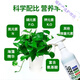 Zhixin nutrient solution plant universal household potted green plant dead leaves yellow leaves rotten roots dilution-free green flower fertilizer 3 bottles buy 2 get 1 free