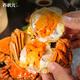 Live crab Su Zhuangyuan fresh hairy crabs in stock male 5.0-5.3 female 4.0-4.3 taels 5 pairs of 10 crabs New Year's seafood gift box sent directly from the source