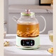 WIFER Health Pot Full Glass Kettle Office Mini Tea Maker Stew All-in-One Tea Pot Home Flower Teapot Small Thermostatic Pot Multi-Function Mini Electric Kettle Full Glass 0 Glue 12H Constant Temperature No Tea Leakage 1.5L