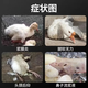Freeze-dried powder for ducks, chicken, duck and goose diseases, freeze-dried powder, soft foot, lame disease, serositis, anti-viral veterinary breeding medicine, eight bags, used in all farms