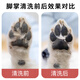 Dog Foot Washing Cup, Special for Pets, Puppy Automatic Door-to-Door Foot Cleaning Device, Dog Paw Cleaner, Cat Paw Washer, Ordinary Manual Model - PBT High Density Soft Hair, Orange Pet Foot Washing Cup, Full