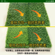 Simulated lawn, fake turf, artificial turf carpet, outdoor lawn mat, football field balcony landscaping, balcony landscaping, 5D black back, 2cm double-layer grid, extra dense spring grass, 2 meters wide*2 meters long