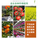 High-phosphorus and high-potassium foliar fertilizer water-soluble fertilizer organic water-soluble agricultural fruit tree planting vegetable succulent flower special nitrogen-phosphorus-potassium fertilizer 10 bottles