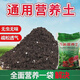 Nutritional soil for growing vegetables and flowers, general fertilizer for raising flowers and green plants, soil organic flower mud, flower soil special 20Jin Jin is equal to 0.5kg fertile organic soil - ten times the fertility upgrade