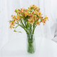 Narcissus lily flowers alstroemeria orange orange red Yunnan base fresh straight hair bloom fast and long flowering period 10 narcissus lilies (wake up the flowers first when they arrive, only 1-2 leaves can be left)