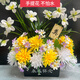 Jingga tomb-sweeping fake flowers, visiting the tomb-sweeping tombstones, silk flowers, fake flowers, Qingming Festival sacrificial flowers, plastic simulated chrysanthemum bouquets, basket_with leaves_yellow freesia plus yellow and white chrysanthemum plus red and yellow_watch the flower arrangement video on the details page