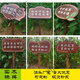 Customized outdoor greening signs, lawn billboards, care for flowers and grass prompts, warning signs, placards, lawn signs, customized 20x30cm
