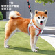 JCZS German brand new dog leash harness vest-type pet walking leash for small and medium-sized Shiba Inu dogs, upgraded model black (single harness, cordless), light and breathable sponge, rust-proof S, weight 4-12Jin Jin equals 0.5kg